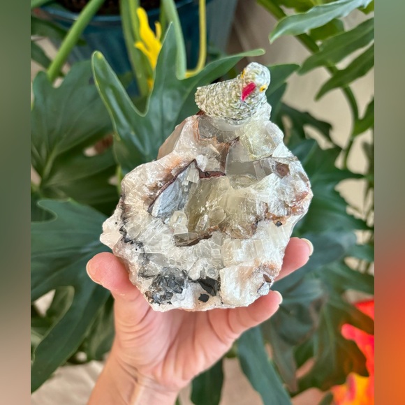 Parrot Carving on Calcite - Picture 5 of 6